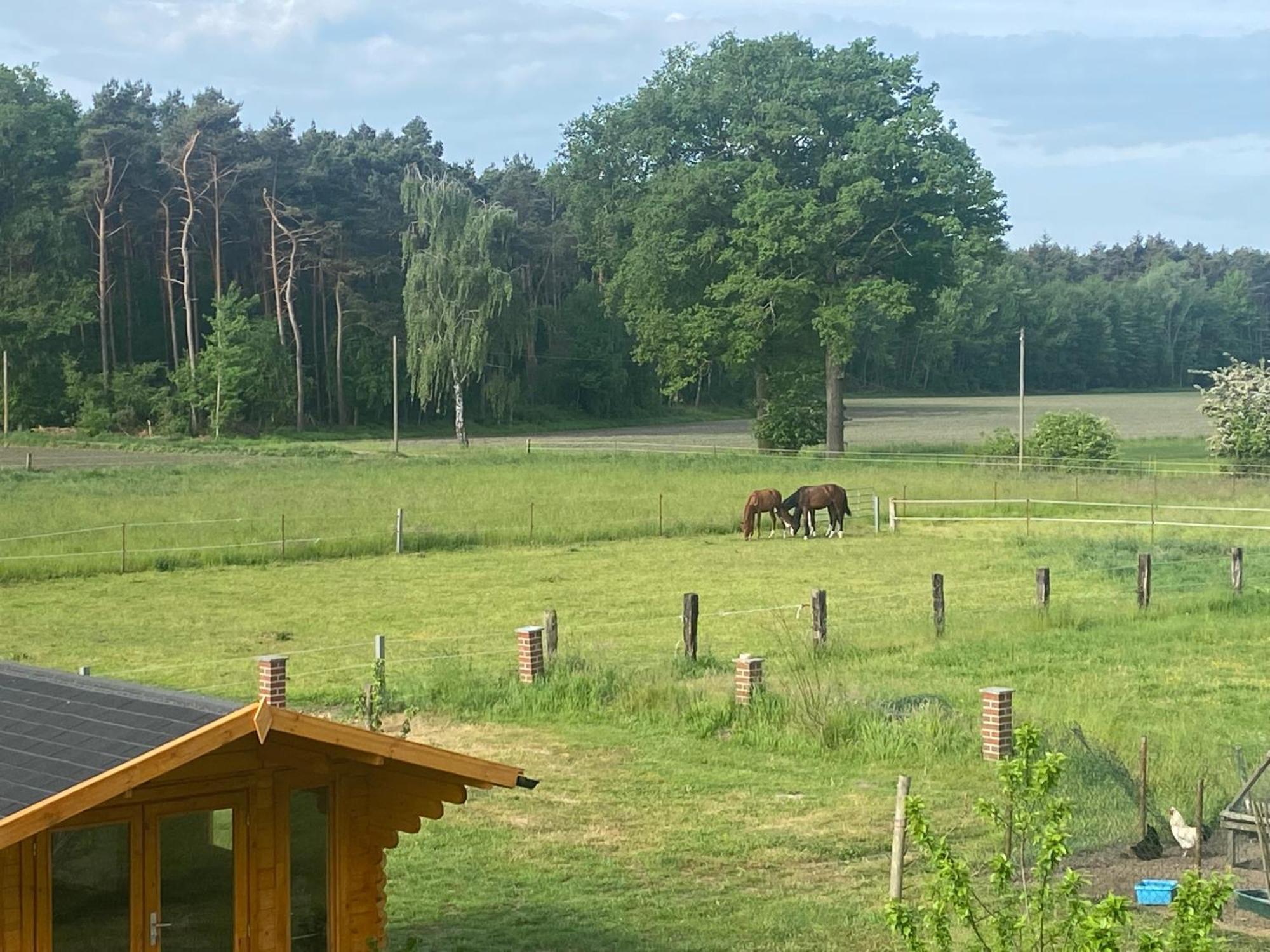 Wunderschoene Mit Balkon Auf Dem Bauernhof * Greven